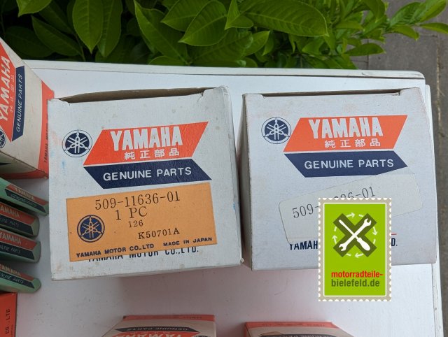 PXL_20240517_122749485.MP